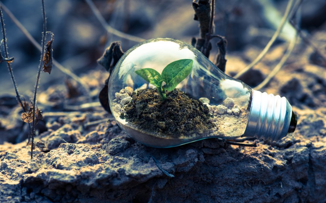 Entrepreneurs and the Environment: 3 Quick Fixes That Will Reduce Your Impact